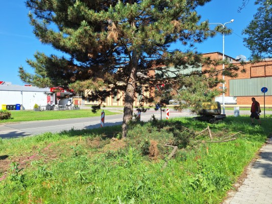 třetí dekáda května 2026