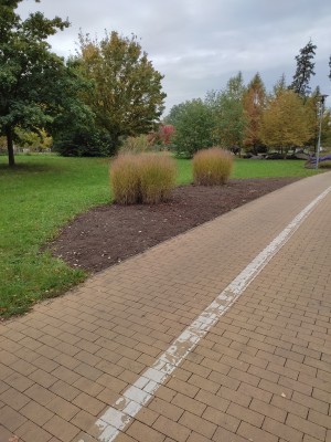 Příklad obnovy v Kolářových sadech u CS