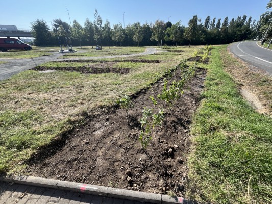 třetí dekáda srpna 2024