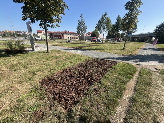 třetí dekáda srpna 2024