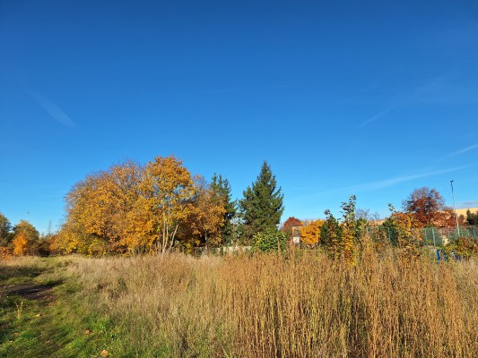původní stav lokality