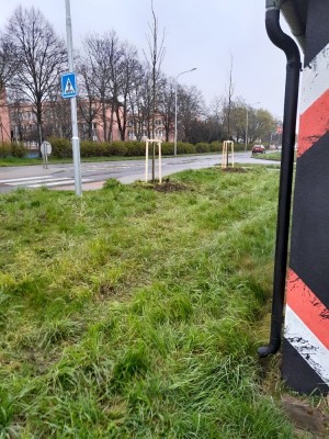 duben 2023 výsadba stromů - Okružní - Werichova