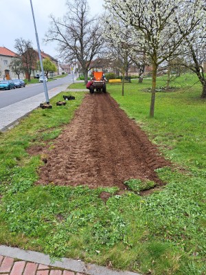duben 2023 - strojová výsadba lilií v Žešově