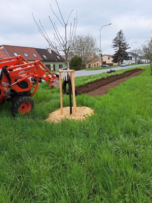 Strojová výstavba lilií ve Vrahovicích