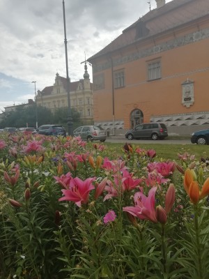 Lilie 2022 - u zámku