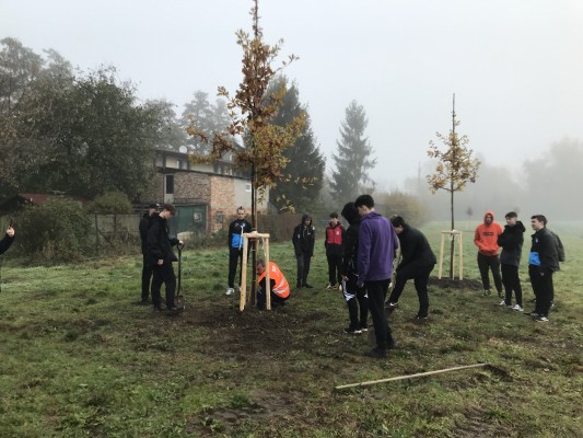 Komunitní sázení - 11. listopadu 2023