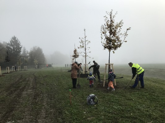 Komunitní sázení - 11. listopadu 2023