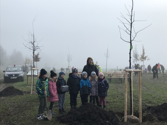 Komunitní sázení - 11. listopadu 2023