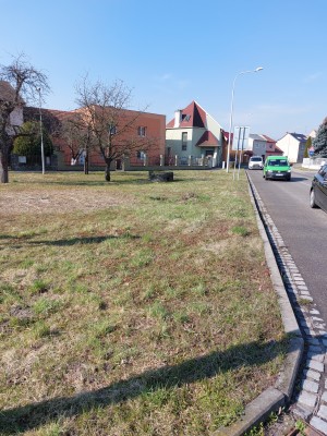 Plocha pro lilie - Vrahovice - naproti točny