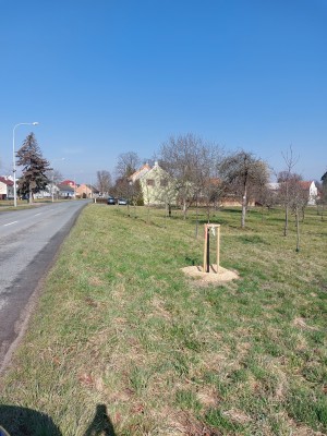 Plocha pro lilie - Vrahovice - podél vozovky