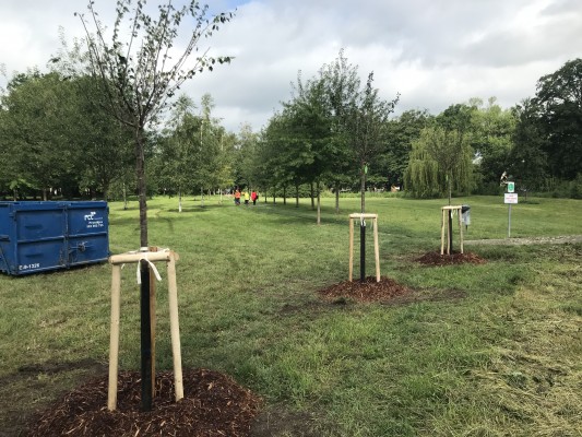 Plán výsadby zeleně 2024