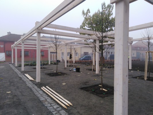 konec října 2022 - výsadba stromů