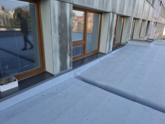 foto ze 4. listopadu 2024