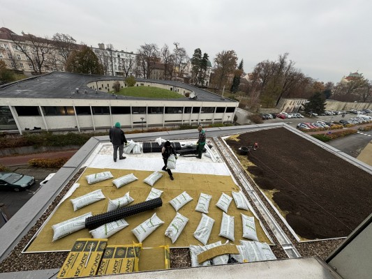 foto ze dne 26. listopadu 2024