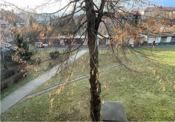 Zpevnění vyšlapané cesty za bytovými domy J. B. Pecky 3-7