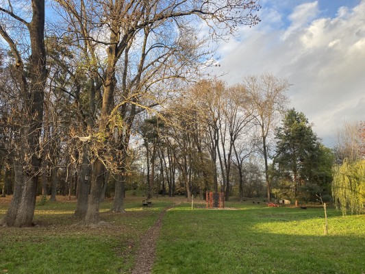 Super zábava pro děti mezi stromy