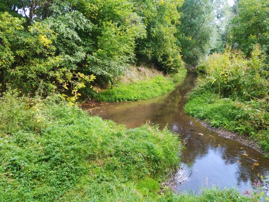 Revitalizace u soutoku řek Hloučely a Romže (Valová) a založení biocentra